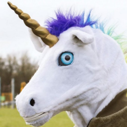unicorn hangout!