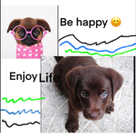Do you love dogs