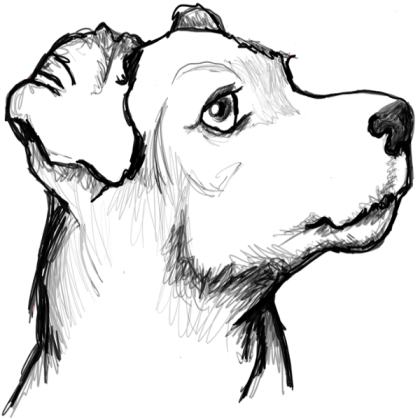 Dog Roblox decal