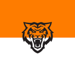 Tsinghua Tigers