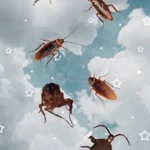 animated roaches;)