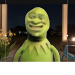 The Kermit/Shrek Club