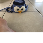 Xav