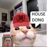 House Dong