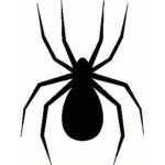 Team Arachnid