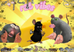 Slaying rats forever