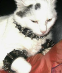 high on dying