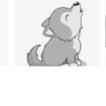 Alpha Wolf Sqaud