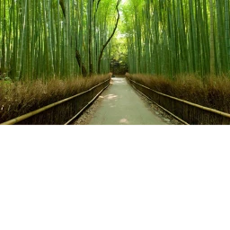 Bamboo forest icon