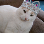 Queen JOYJOY