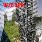 MAYERLINK