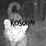kosurai