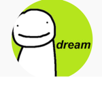 Dream speedrun group
