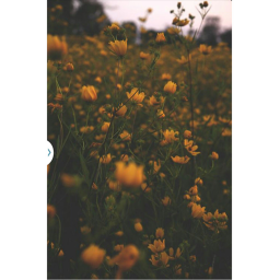 my peacful place.