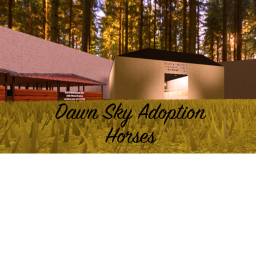 Dawn Sky Stables Adoption
