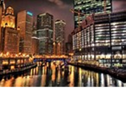 City Life