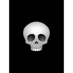 Republic Of Skulls