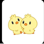 !-CHiCKS-!