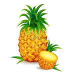 Teh Pineapple Squad