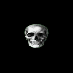KILL-ØN-SIGHT