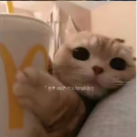 Kitty >< sqaud <3