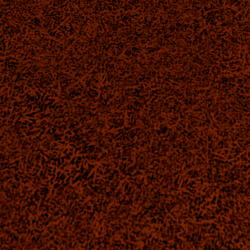 Untold stories  ( The collection)