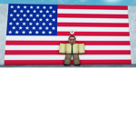 Los Pollos For America