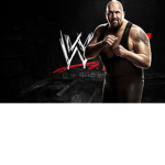 WWE fans seth rollins