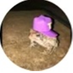 Gangster frog
