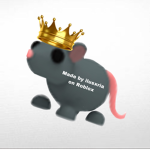 Wifi Rats