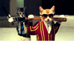 Catu Arya