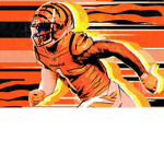 Go Bengals