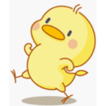 DUCKO ARMY