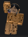 Me (a person who has no friends)