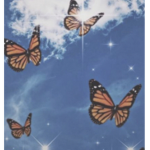 Aesthetic_cute...