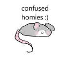 confused homies