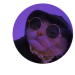 The nayaomglol1234 is cool