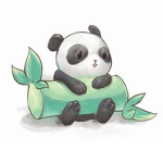 Let's Go Team Panda