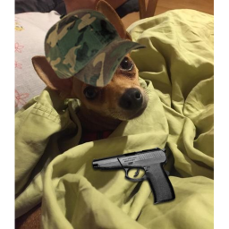 Free For All Noob War