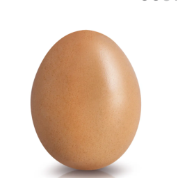 Egg