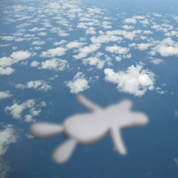 skydiving with rabbid