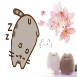 Rosekitty Squad
