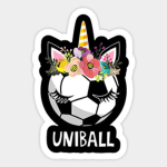 Football and unicorn friends