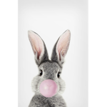 Bunny is cool and nice