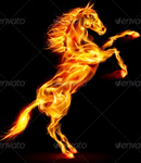 Fiery phoenixes bestie group