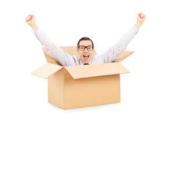 Sit in a Cardboard box Simulator