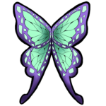 Insect Studio