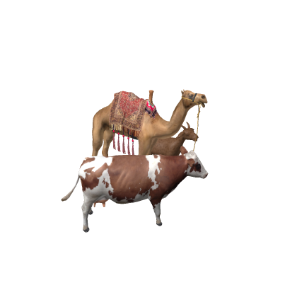 camel , cow , goat
