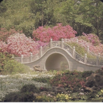 fields of gardens
