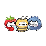 Il mio Team